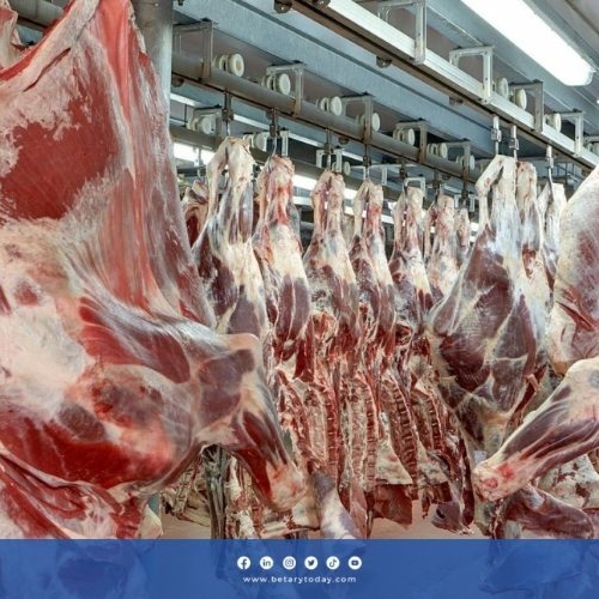 ارتفاع أسعار اللحوم في المغرب إلى مستويات غير مسبوقة