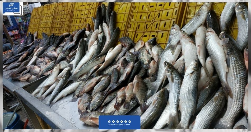 انخفاض أسعار الأسماك اليوم الثلاثاء 31 أكتوبر في سوق العبور
