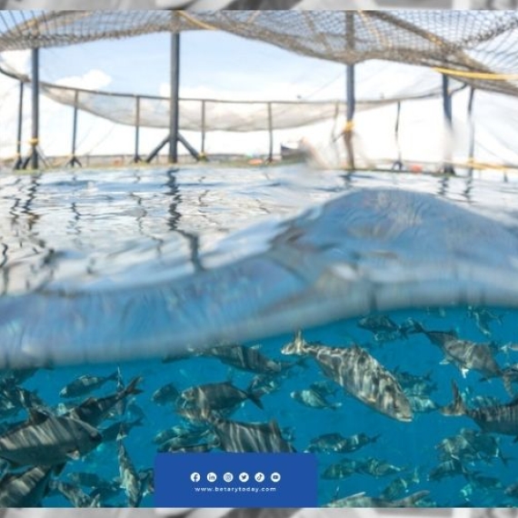 عمان تحقق طفرة في الاستزراع السمكي لتحقيق الأمن الغذائي