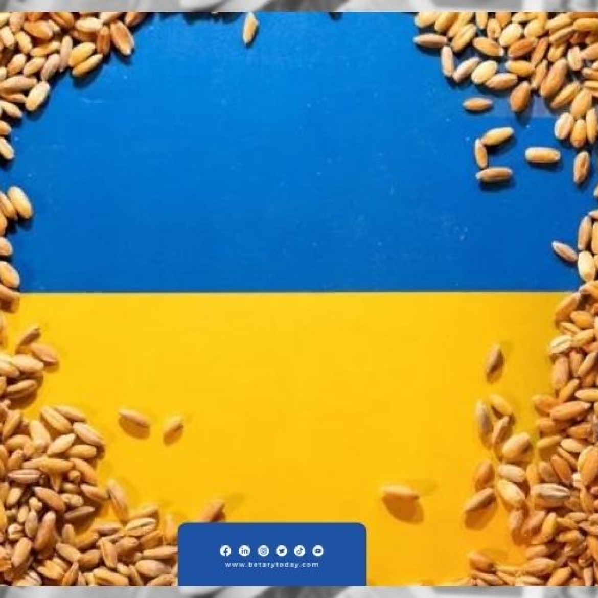 ليتوانيا تتبنى ممر جديد لعبور الحبوب الأوكرانية عبر موانئ البلطيق