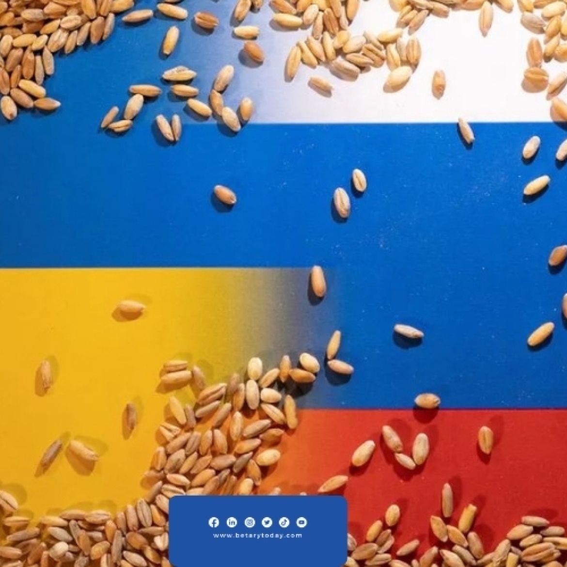 الحبوب الأوكرانية