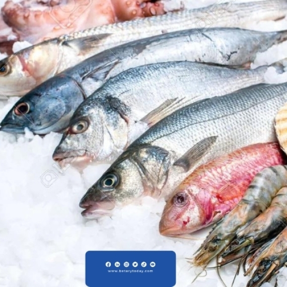 أسعار الأسماك والمأكولات البحرية تستقر اليوم الأحد في أسواق العبور
