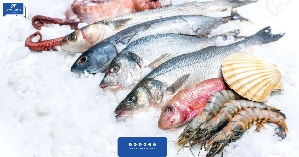 أسعار الأسماك والمأكولات البحرية تستقر اليوم الأحد في أسواق العبور