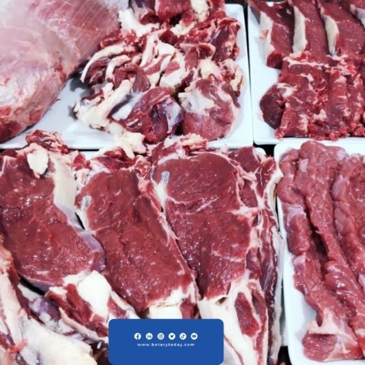 ما مصير أسعار اللحوم الحمراء بعد الإفراجات الجمركية التي تمت عن الماشية