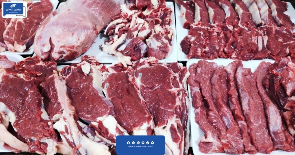 ما مصير أسعار اللحوم الحمراء بعد الإفراجات الجمركية التي تمت عن الماشية