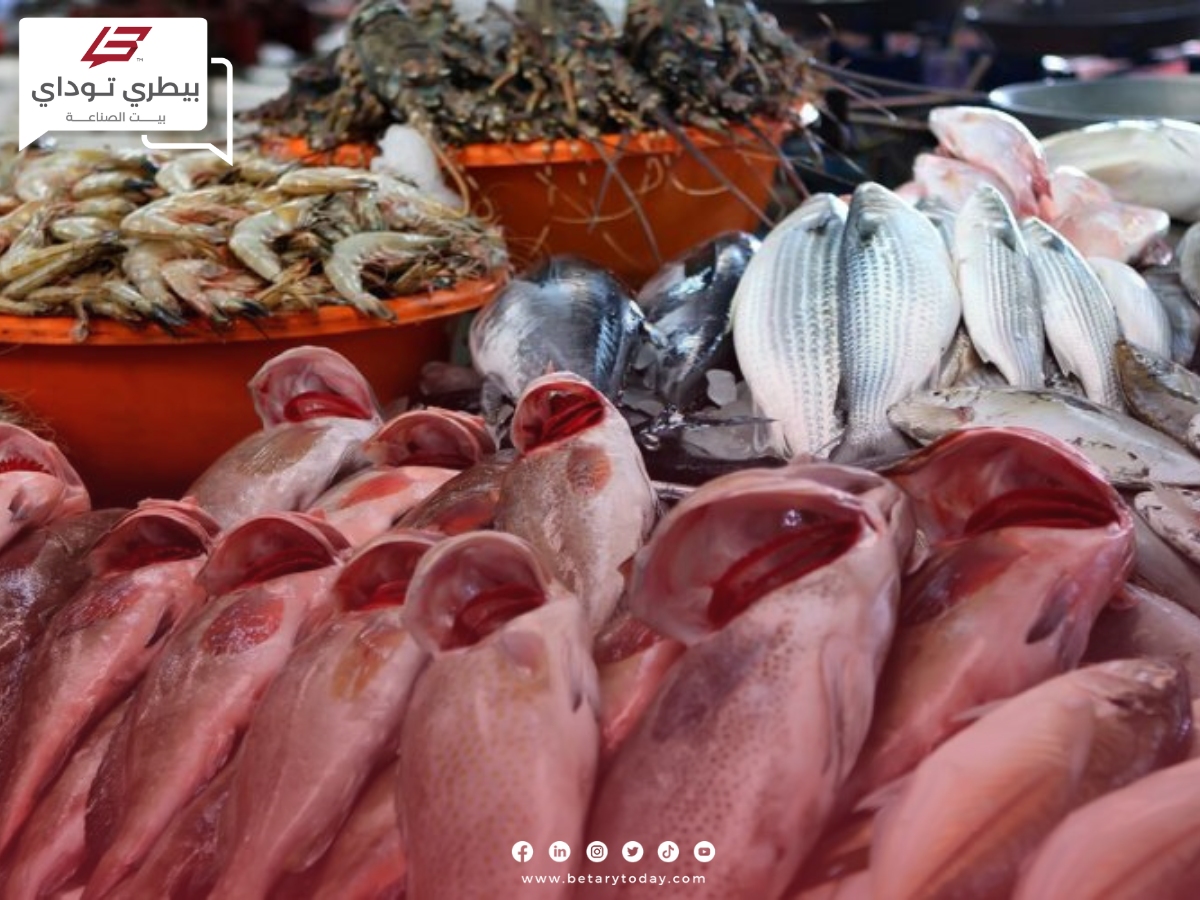 أسعار الأسماك والمأكولات البحرية اليوم الأحد 17 مارس في الأسواق