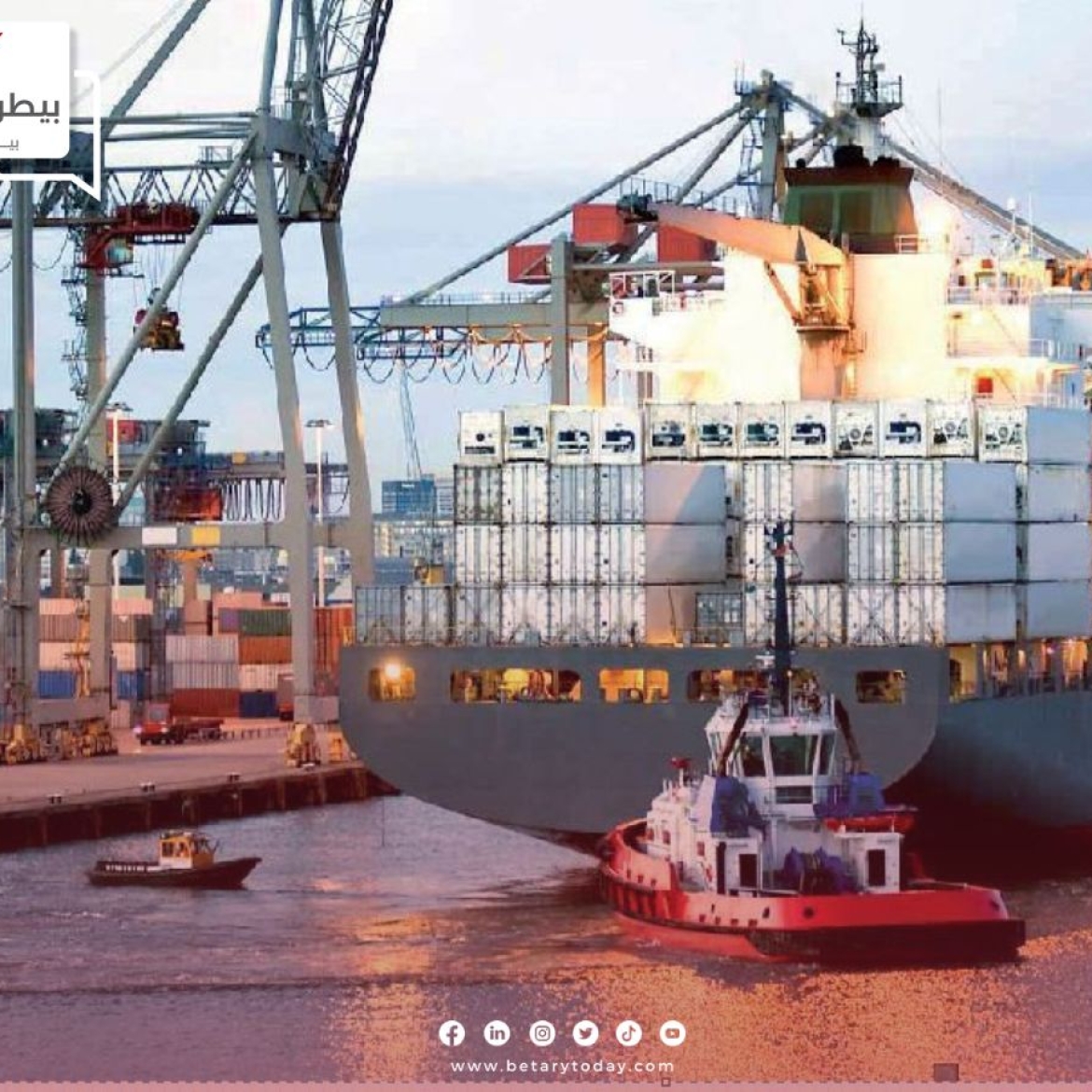 ميناء دمياط يستقبل 13 سفينة محملة بنحو 6413 طن من الذرة الصفراء و 3279 فول صويا