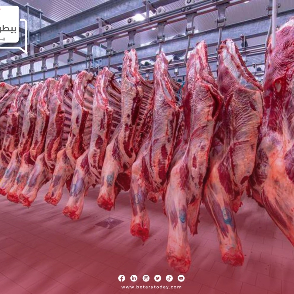 قبل أيام من العيد... تعرف على أسعار اللحوم الحمراء البلدي والمستوردة في الأسواق