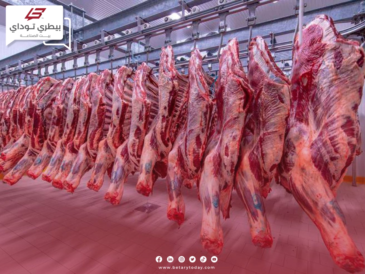 قبل أيام من العيد... تعرف على أسعار اللحوم الحمراء البلدي والمستوردة في الأسواق