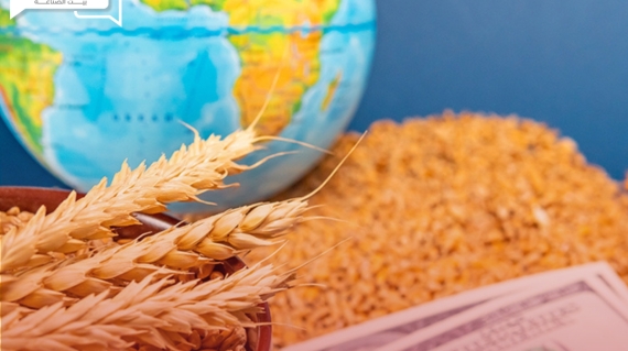 دراسة حظر الحبوب الروسية من قبل الاتحاد الأوروبي