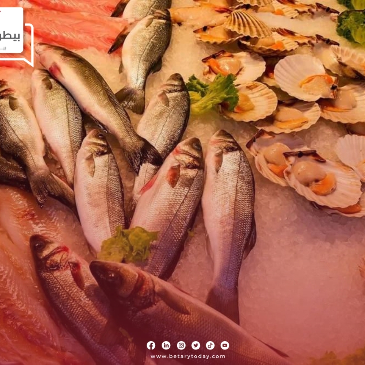 أسعار الأسماك والمأكولات البحرية اليوم الاثنين 15 أبريل في سوق العبور
