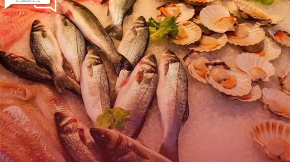 أسعار الأسماك والمأكولات البحرية اليوم الاثنين 15 أبريل في سوق العبور