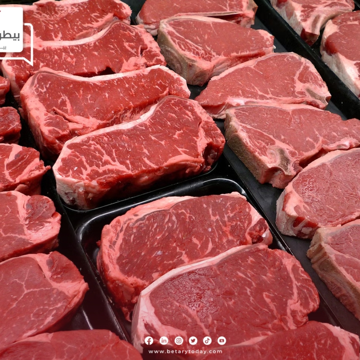 هدوء مؤقت في أسعار اللحوم الحمراء البلدي والمستوردة اليوم الأربعاء في الأسواق
