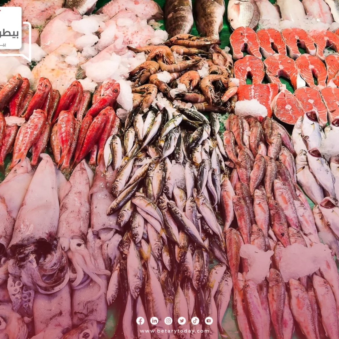 استقرار مؤقت في أسعار الأسماك والمأكولات البحرية اليوم الخميس 28 مارس في الأسواق