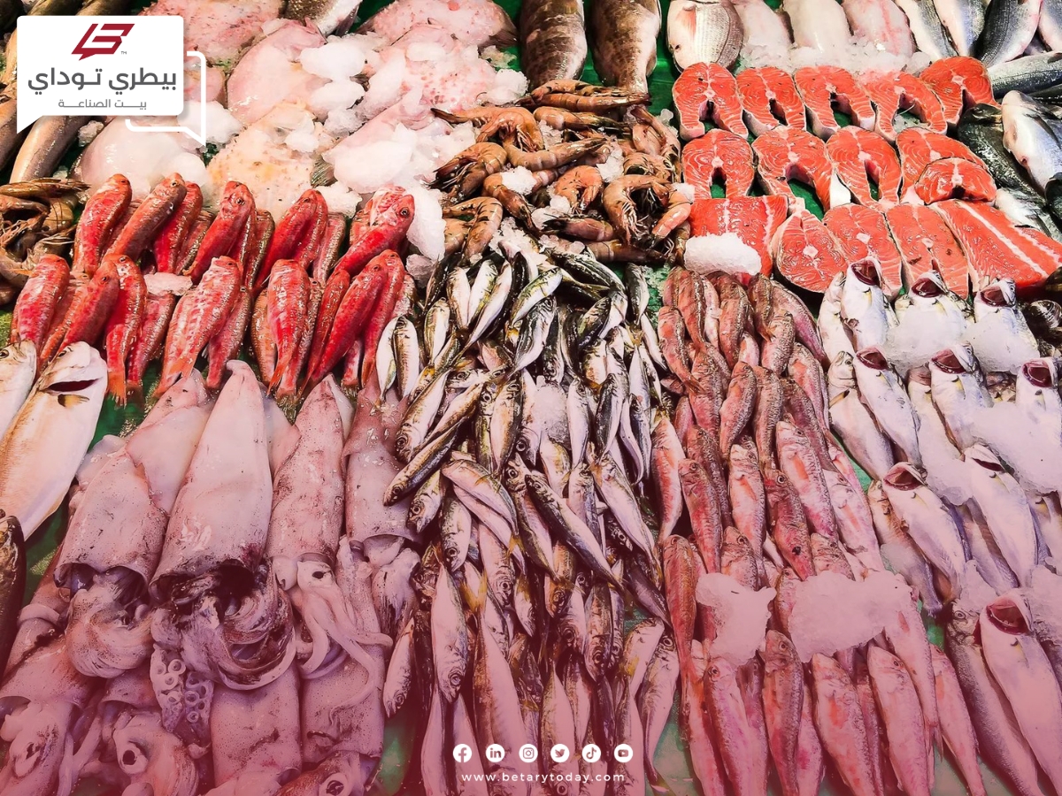 استقرار مؤقت في أسعار الأسماك والمأكولات البحرية اليوم الخميس 28 مارس في الأسواق