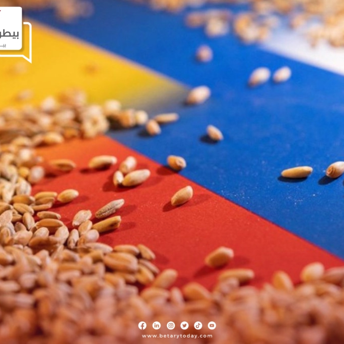 صادرات الحبوب الأوكرانية تتراجع إلى 3.2 مليون طن في مارس