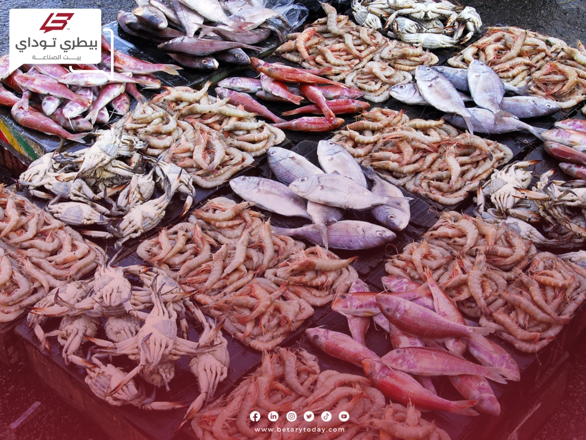 هدوء مؤقت في أسعار الأسماك والمأكولات البحرية اليوم الأحد في سوق العبور
