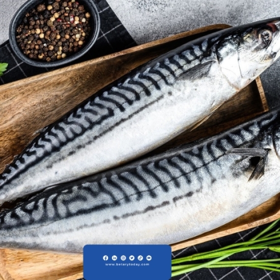 أسعار الأسماك والمأكولات البحرية اليوم الأربعاء 13 مارس فى الأسواق