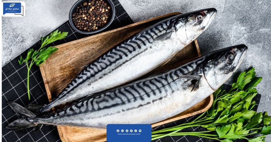أسعار الأسماك والمأكولات البحرية اليوم الأربعاء 13 مارس فى الأسواق