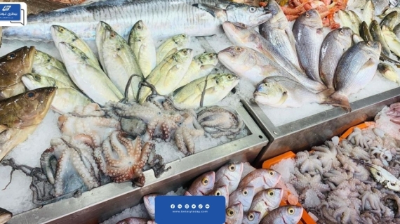 أسعار الأسماك والرخويات اليوم الجمعة 1 مارس في سوق العبور