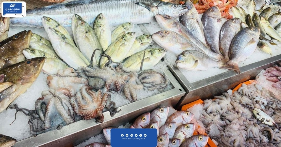 أسعار الأسماك والرخويات اليوم الجمعة 1 مارس في سوق العبور
