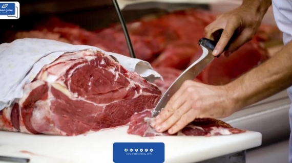 350 جنيها لكيلو اللحم البقري اليوم السبت 2 مارس في الأسواق