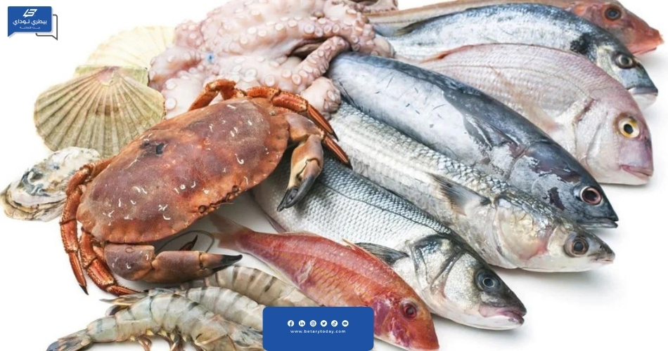أسعار الأسماك والمأكولات البحرية اليوم الأحد 3 مارس في الأسواق