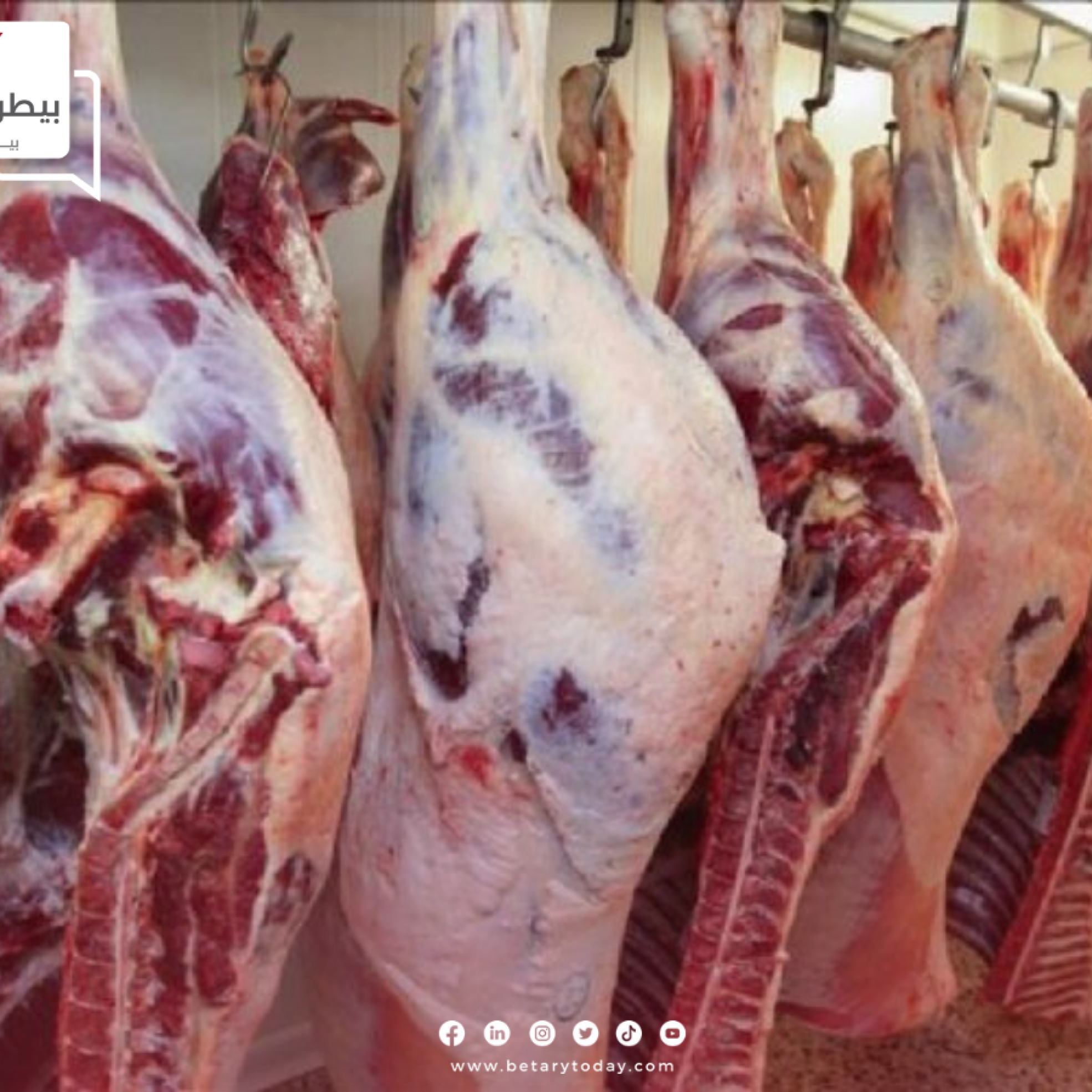 أسعار اللحوم الحمراء البلدي والمستوردة اليوم الاثنين