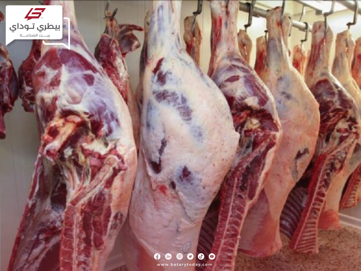 أسعار اللحوم الحمراء البلدي والمستوردة اليوم الاثنين
