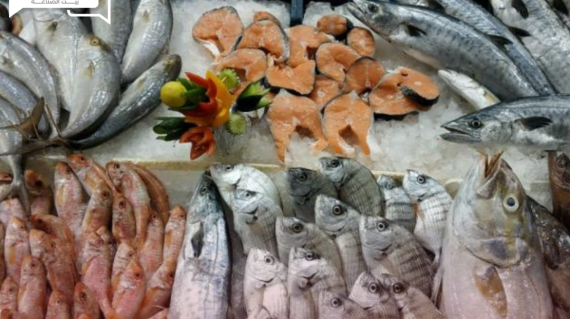 هدوء مؤقت في أسعار الأسماك والمأكولات البحرية اليوم السبت