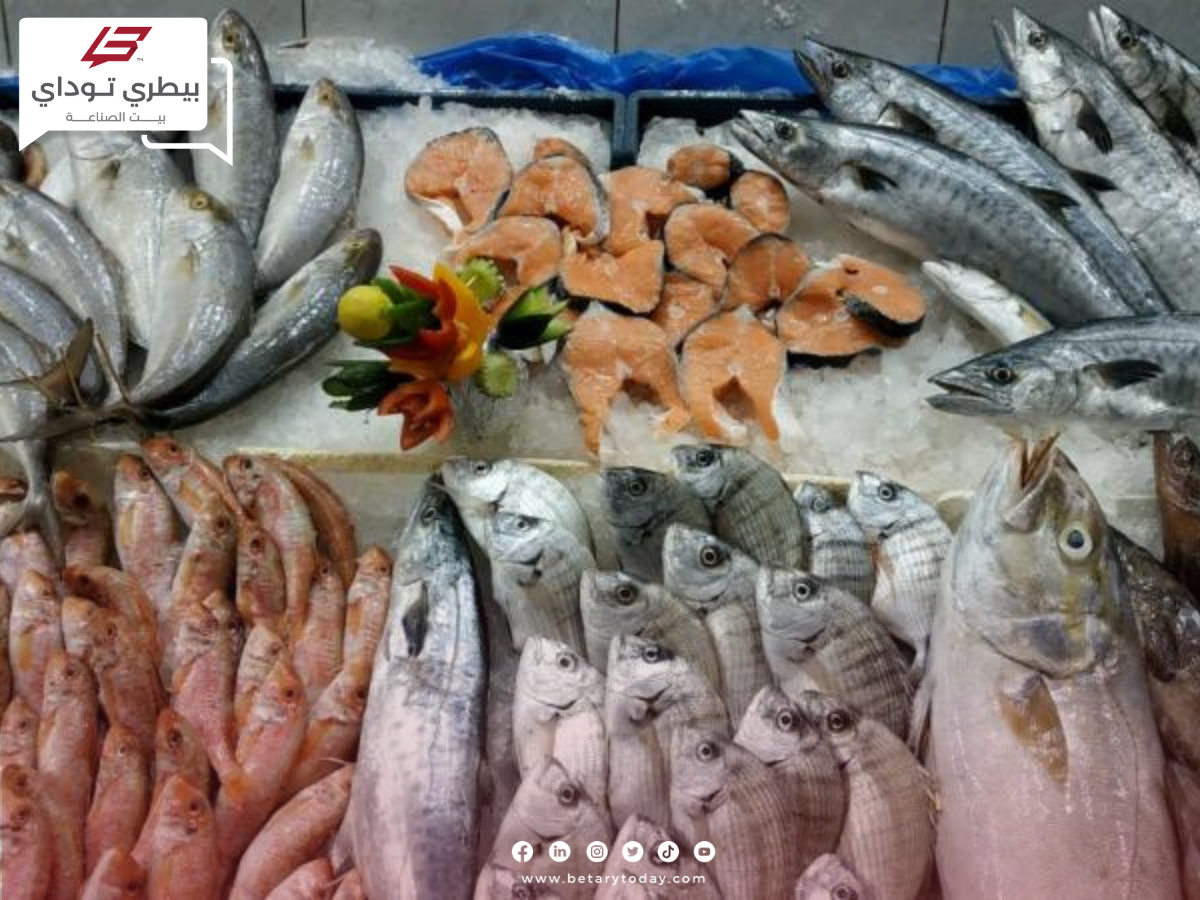 هدوء مؤقت في أسعار الأسماك والمأكولات البحرية اليوم السبت