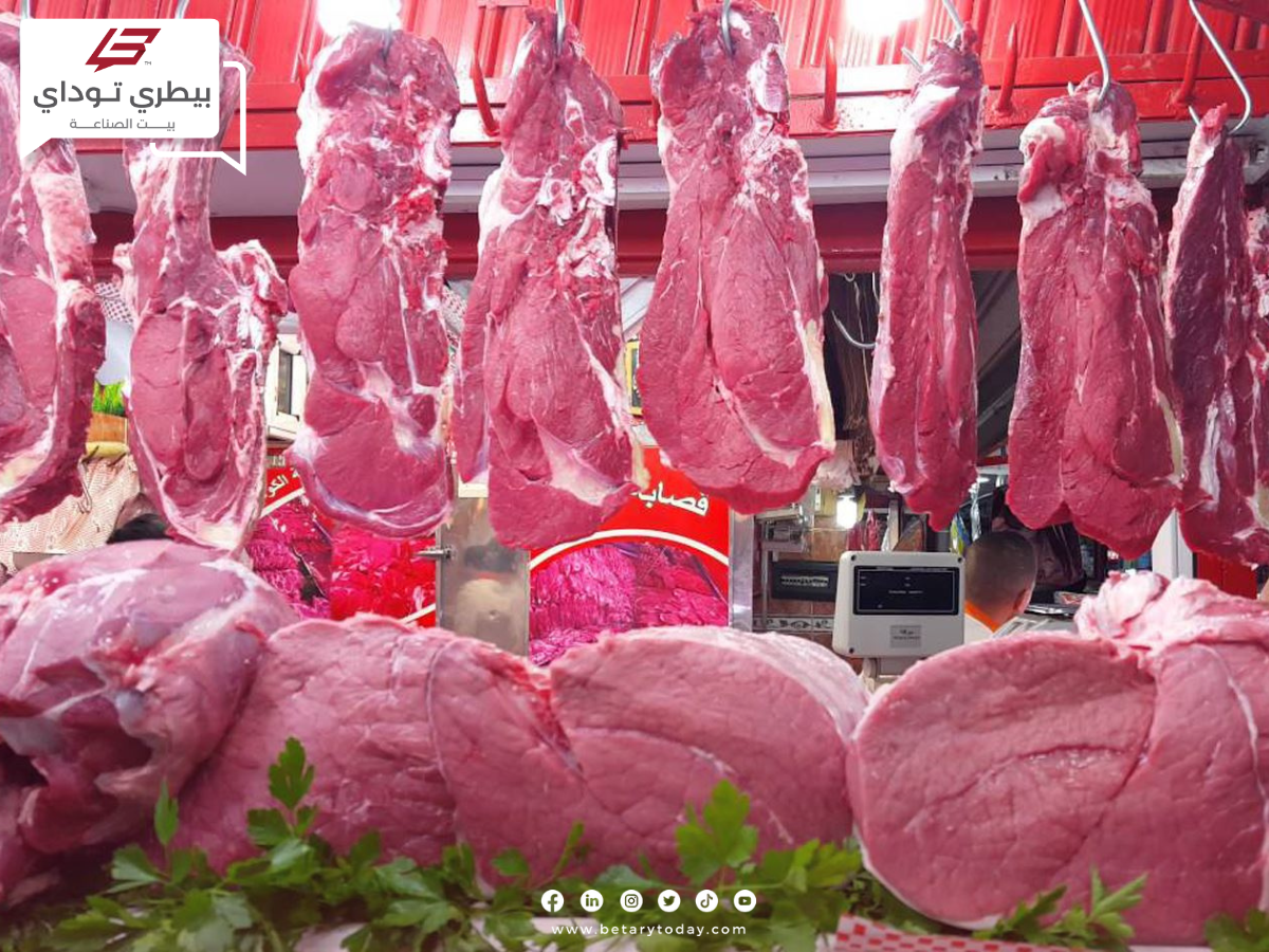 أسعار اللحوم الحمراء البلدي والمستوردة اليوم الإثنين في الأسواق