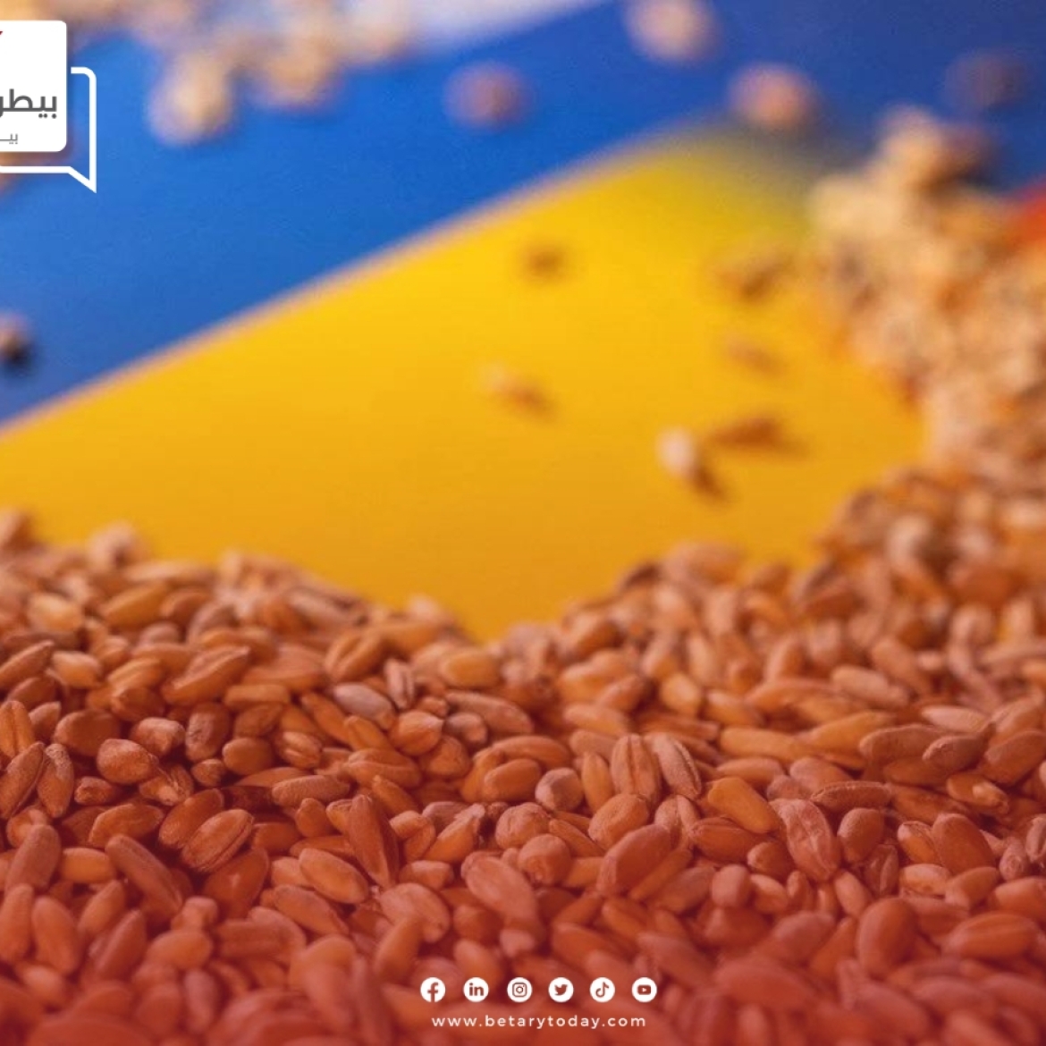 تراجع صادرات الحبوب الأوكرانية إلى البلاد الأوروبية لأول مرة منذ 6 شهور