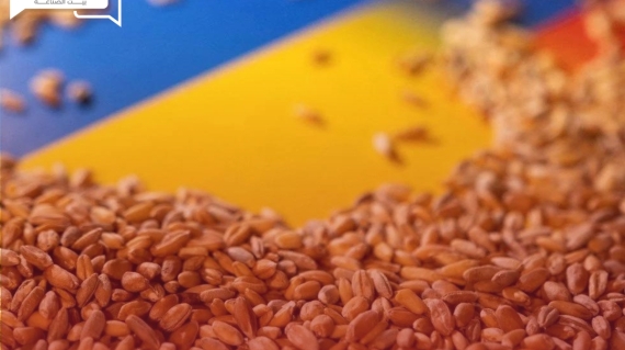 تراجع صادرات الحبوب الأوكرانية إلى البلاد الأوروبية لأول مرة منذ 6 شهور