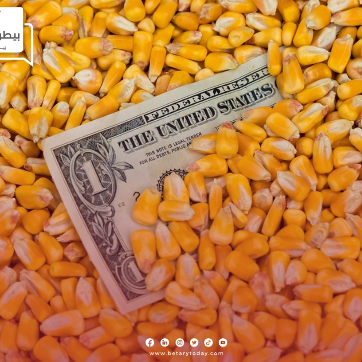 تراجع جديد في أسعار الذرة الصفراء وفول الصويا اليوم الأربعاء في الأسواق