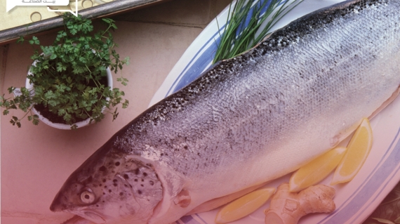 أسعار السمك اليوم الأحد 7 أبريل في سوق العبور قبل يومين من عيد الفطر