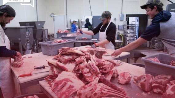 خلال عام واحد… أسعار اللحوم الحمراء يرتفع في أوروبا بنسبة 3.3%