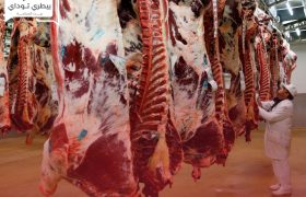 أسعار لحوم الضأن تخالف أسعار اللحوم الأخرى في المملكة السعودية
