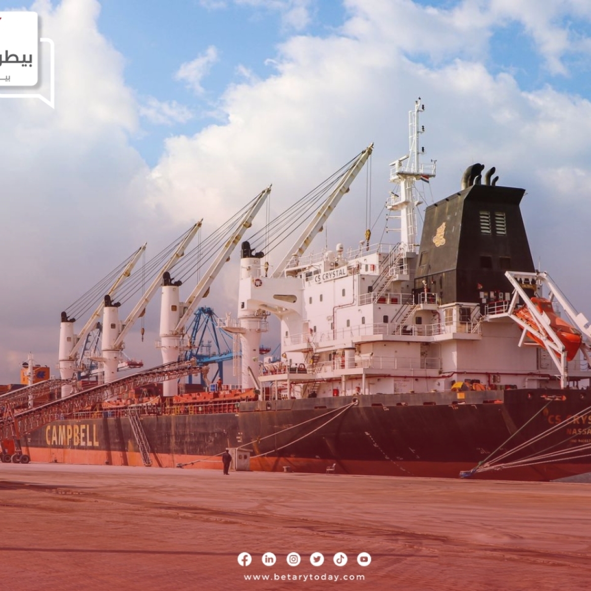 لليوم الثاني… ميناء دمياط يصدر 1800 طن علف بنجر