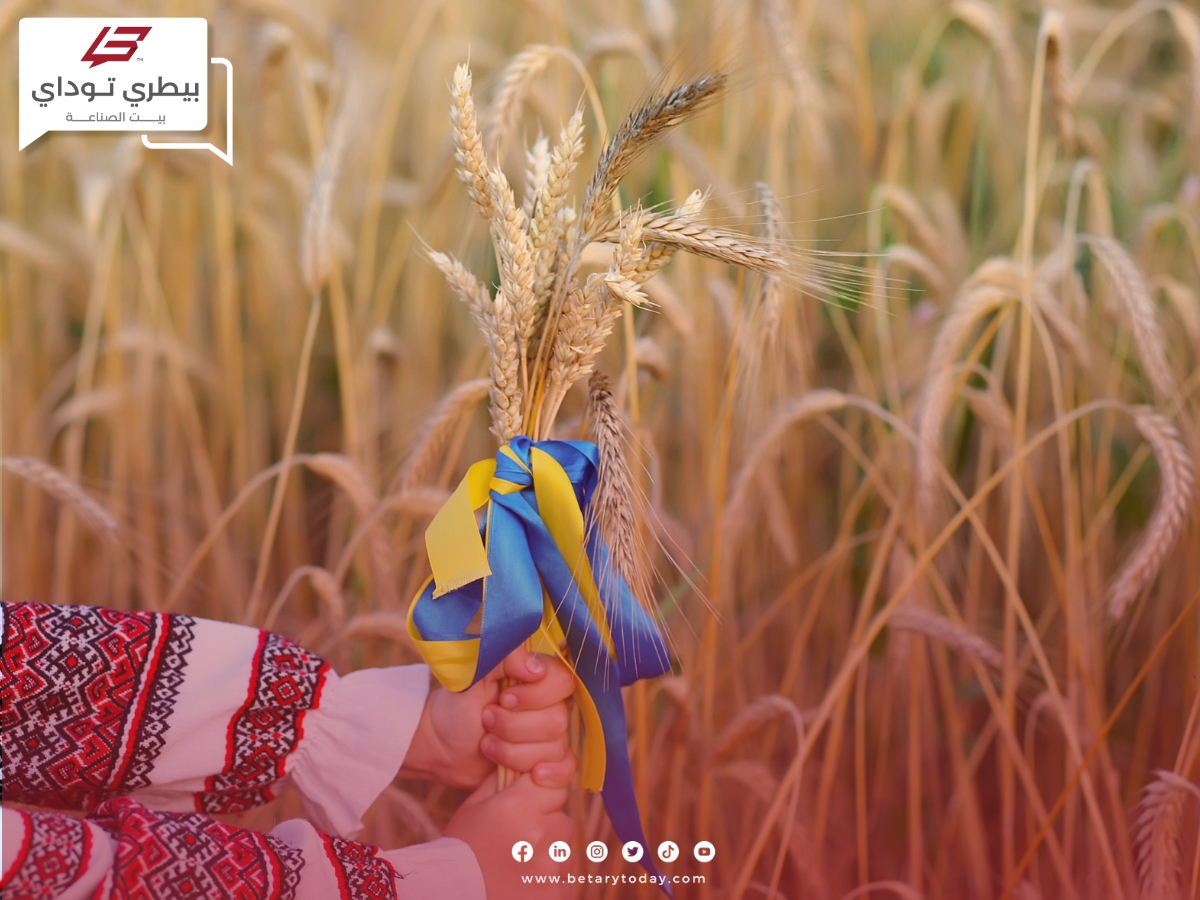 توقعات بانخفاض إنتاجية الحبوب الأوكرانية خلال هذا العام