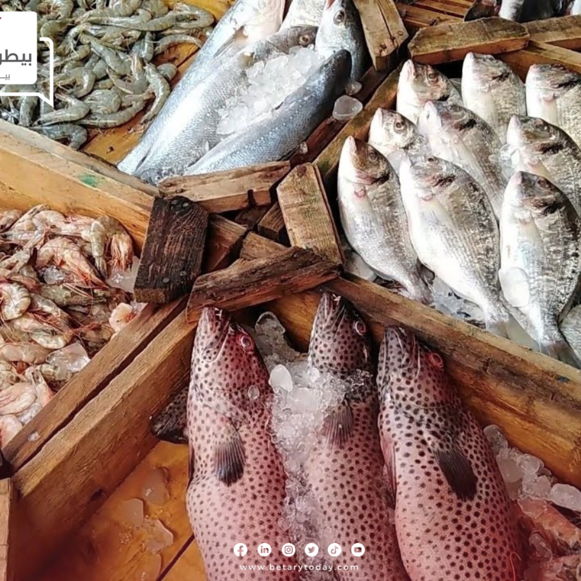 أسعار السمك اليوم الجمعة بعد مقاطعة شراء الأسماك والمأكولات البحرية