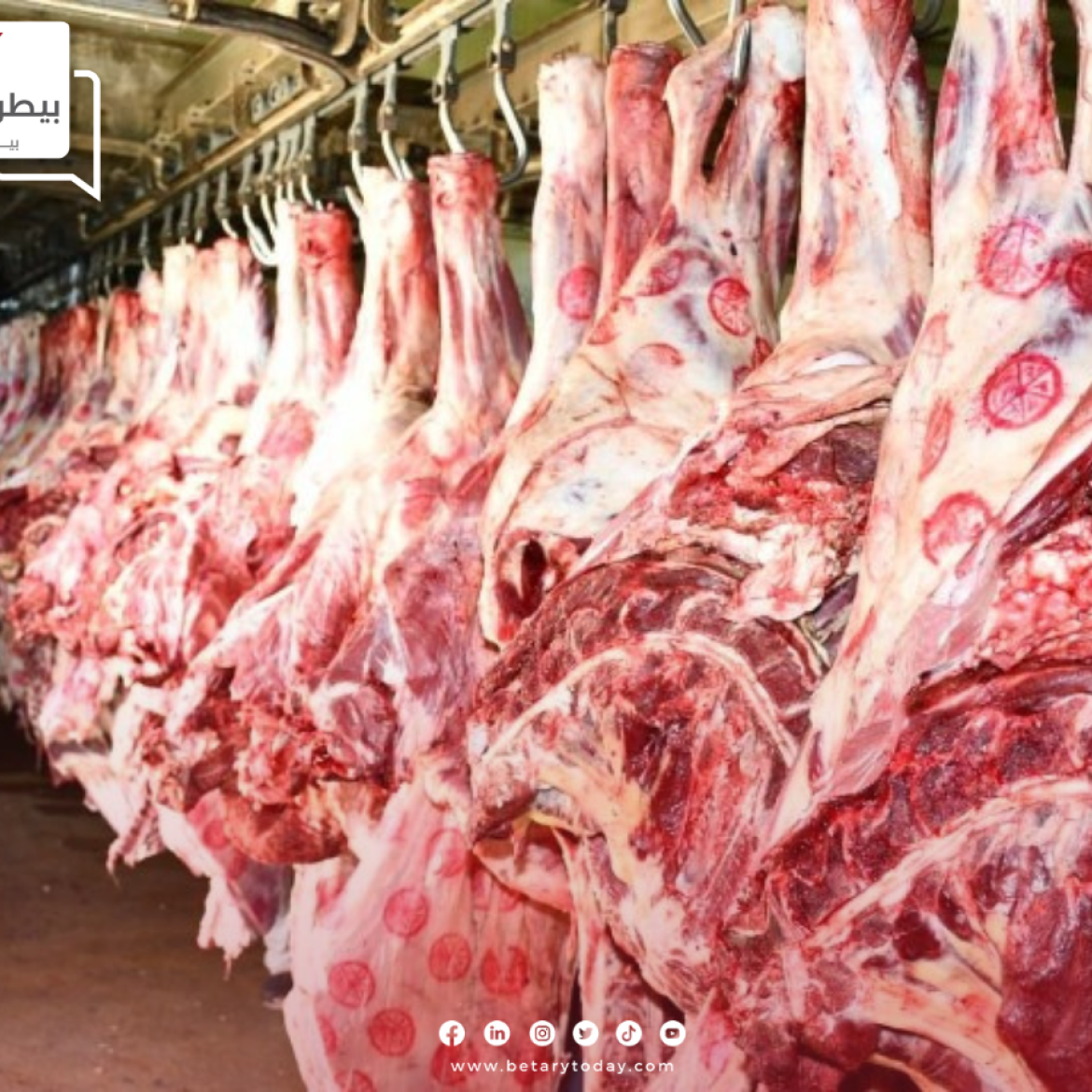 قبل أيام من عيد المسيحيين"... تعرف على أسعار اللحوم الحمراء البلدي اليوم السبت