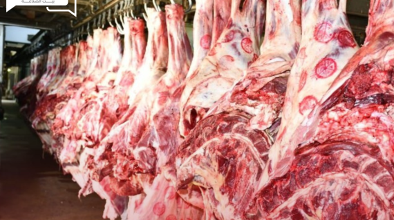 تراجع أسعار اللحوم الحمراء البلدي والمستوردة اليوم الخميس في الأسواق