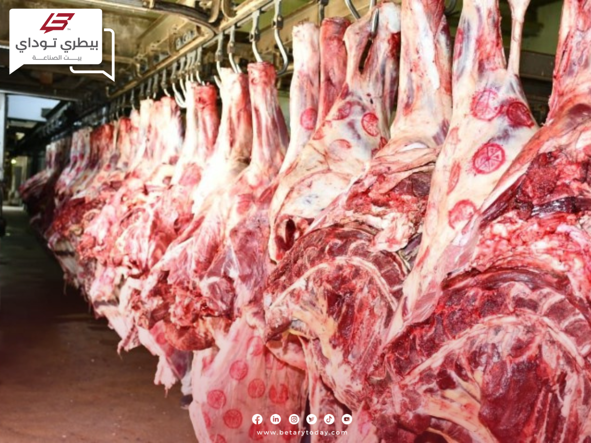 تراجع أسعار اللحوم الحمراء البلدي والمستوردة اليوم الخميس في الأسواق