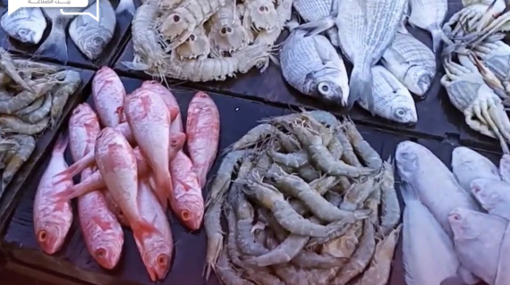 "تراجع وهمي"... أسعار الأسماك والمأكولات البحرية اليوم السبت
