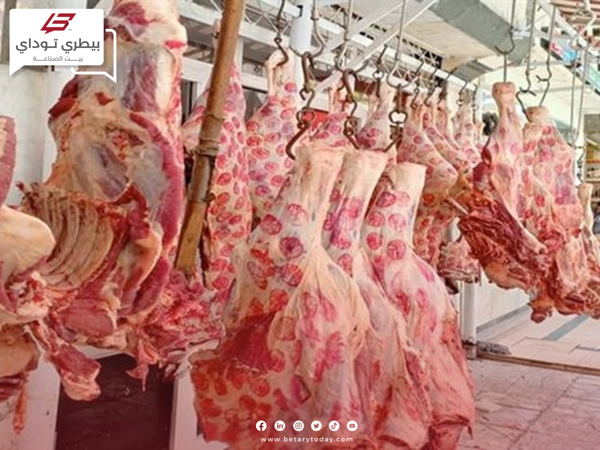 ما هي أسعار اللحوم الحمراء البلدي والمستوردة اليوم الأحد في الأسواق