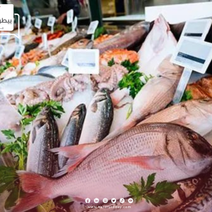 أسعار الأسماك والمأكولات البحرية اليوم الأحد 28 أبريل في سوق العبور