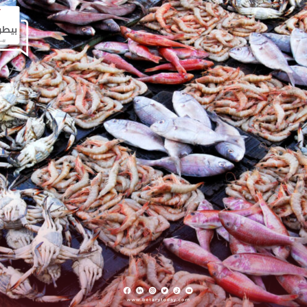 الأسعار الاسترشادية للأسماك والمأكولات البحرية اليوم الثلاثاء 7 مايو في الأسواق