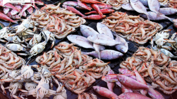 الأسعار الاسترشادية للأسماك والمأكولات البحرية اليوم الثلاثاء 7 مايو في الأسواق