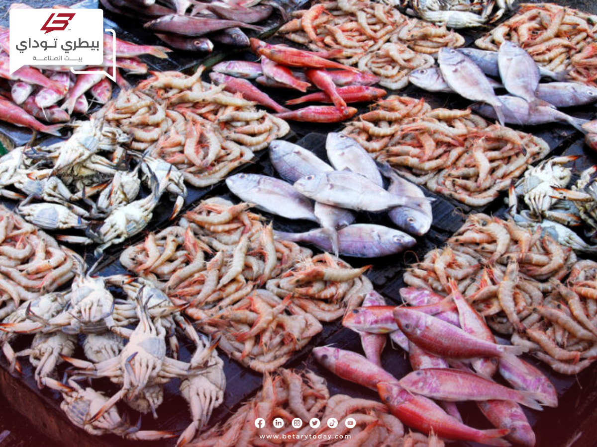 تراجع أسعار الأسماك والمأكولات البحرية اليوم السبت 11 مايو في الأسواق
